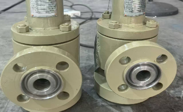 上海禹軒A42Y-2500LB-DN15/316L不銹鋼鍛造高壓安全閥：為湖南潤星制藥筑牢核心生產(chǎn)防線
